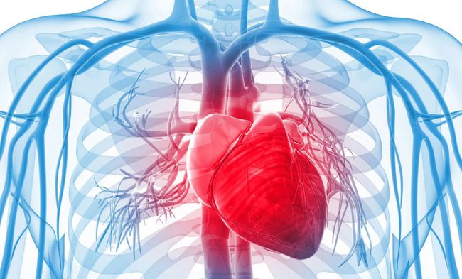 cfdna in cardiovascular disease testing