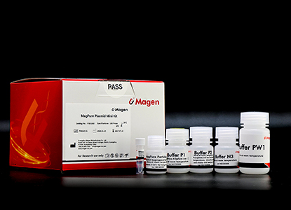 magnetic bead plasmid DNA extraction kit for high-throughput preparation.jpg