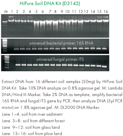 soil dna extraction experiment