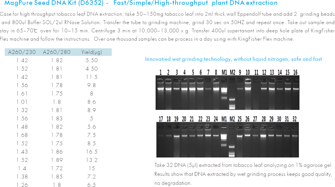 seed dna extraction experiment