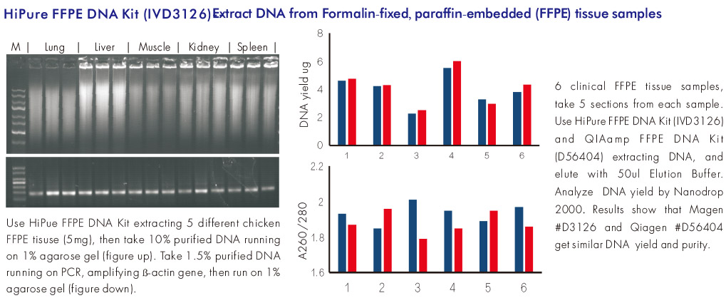 ffpe dna experiment