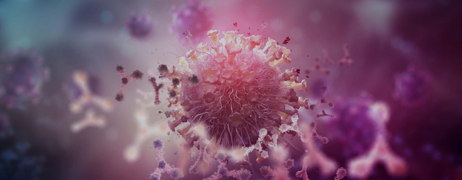 viral rna extraction supplier.jpg