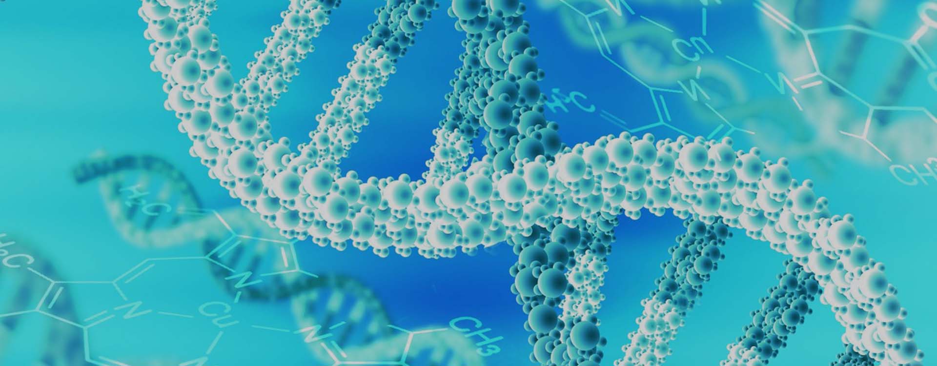 nucleic acid extraction supplier.jpg