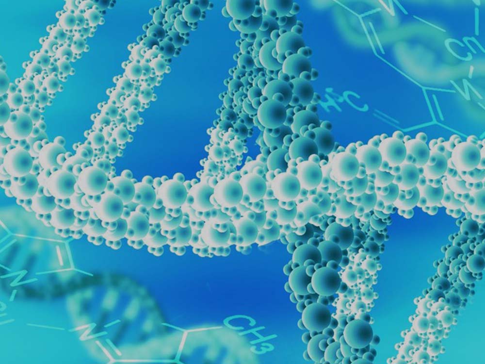 nucleic acid extraction supplier.jpg