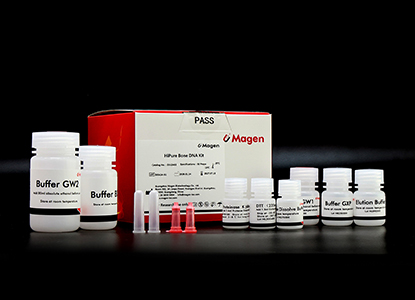 Bone DNA preparation for forensic laboratories
