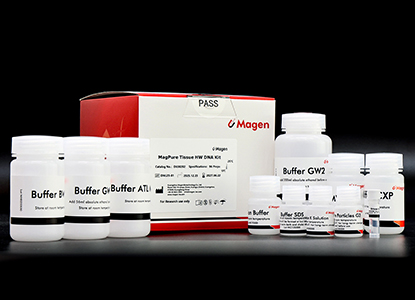 high molecular weight DNA extraction tissue workflow magnetic bead purification.jpg
