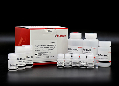bacterial DNA extraction workflow lysozyme magnetic bead purification.jpg