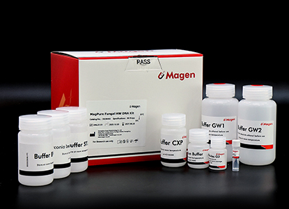 fungal DNA extraction bead beating workflow magnetic bead purification.jpg