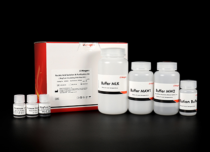 magnetic bead cfDNA extraction kit plasma.jpg