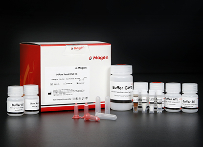 yeast dna extraction from fungal cells using column purification.jpg