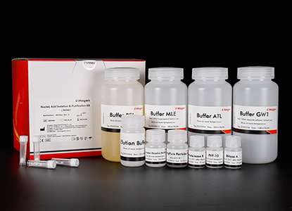 Magnetic bead stool DNA preparation