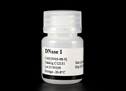 DNase I lyophilized powder for DNA contamination removal