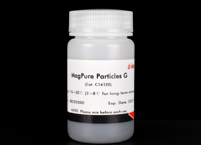 magnetic particle
