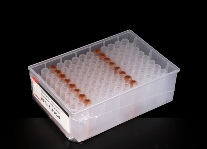 Universal RNA prepacked Kit.png