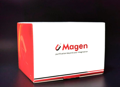 Substitute Qiagen 12866.jpg