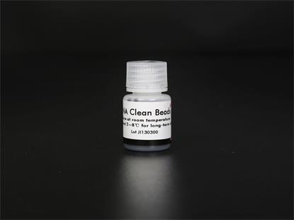 RNA recover bead.jpg